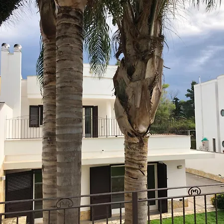 Sorriso Cavallino di Lecce